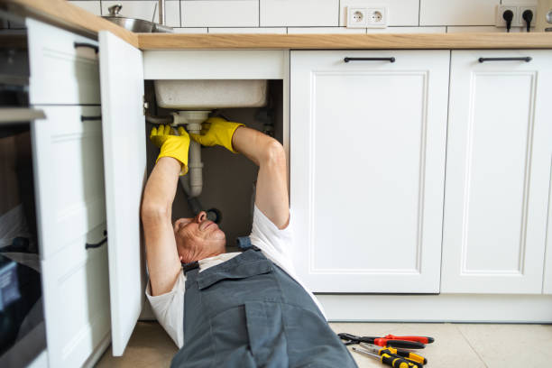 Best Affordable Plumber Near Me  in Cuba City, WI